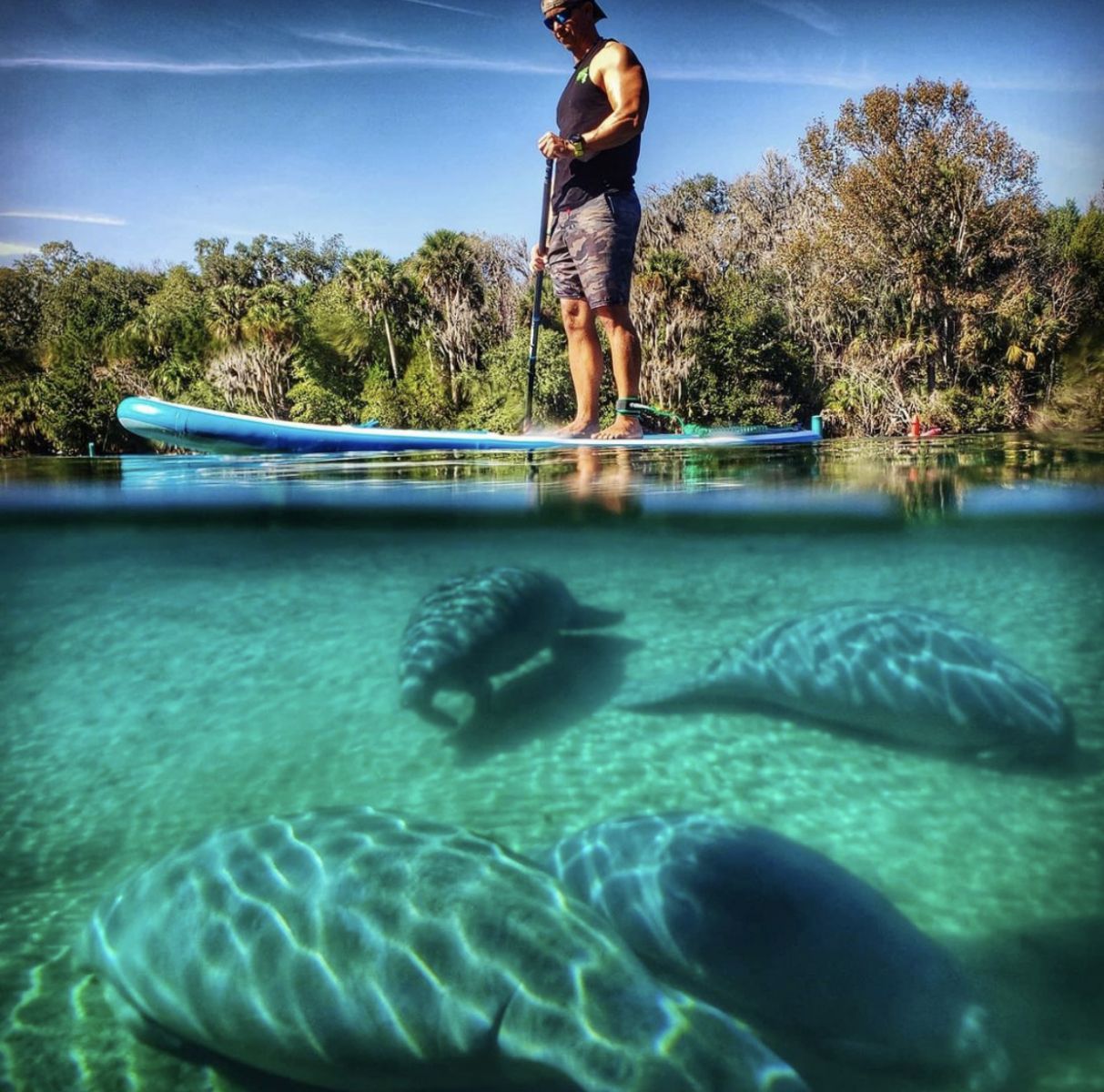 Explore Silver Glen Springs